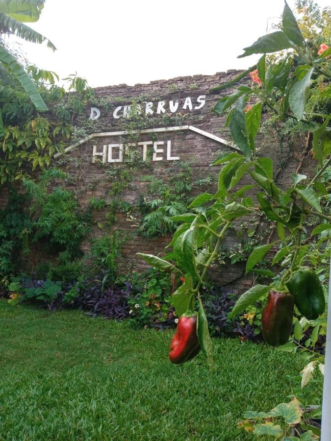 Hostel Dch Backpaquers Concordia